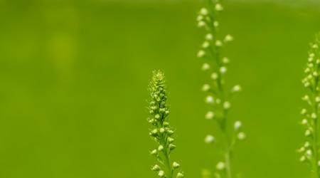 Photo bu Chen Chien Hsu